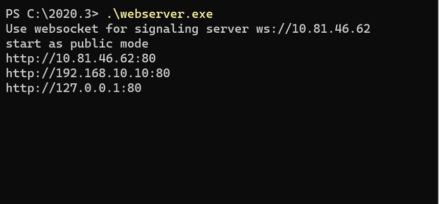 Launch web server